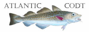 Atlantic CODT picture
